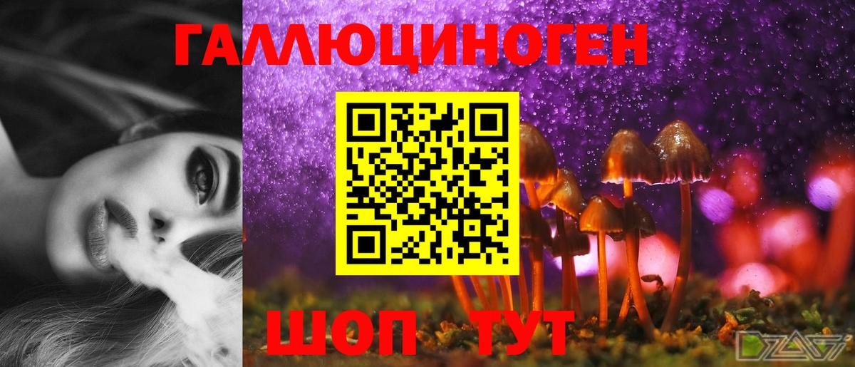 Сибай  Псилоцибиновые грибы Psilocybe  Вход с VPN 