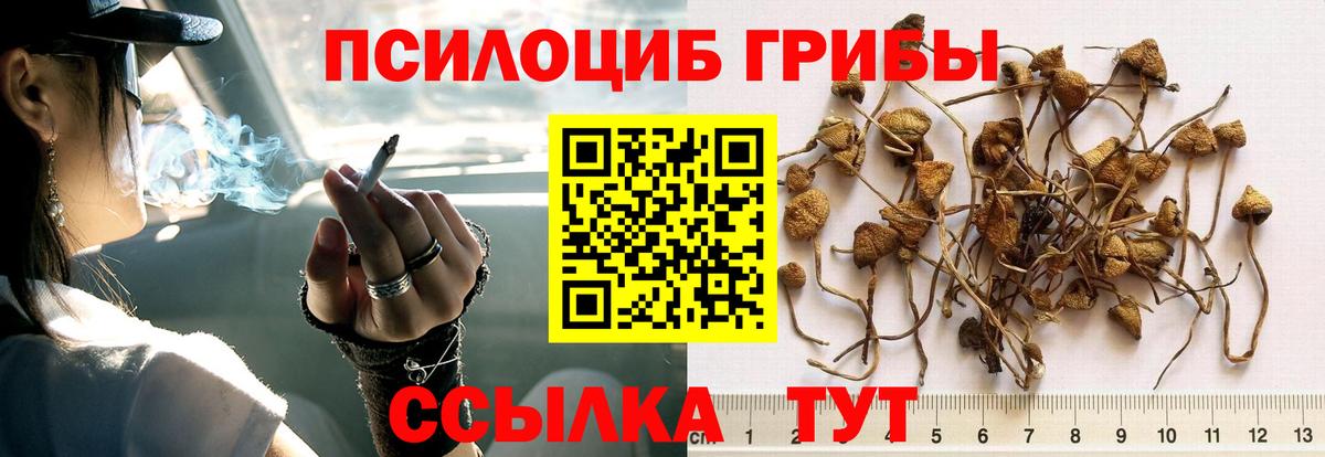 Галлюциногенные грибы GOLDEN TEACHER Сибай
